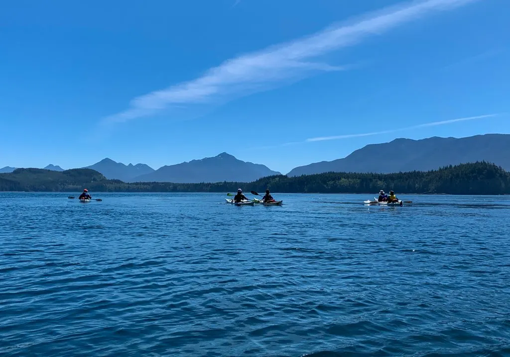 A group of kayakers in the Johnstone Strait - one the best things to do on north Vancouver Island