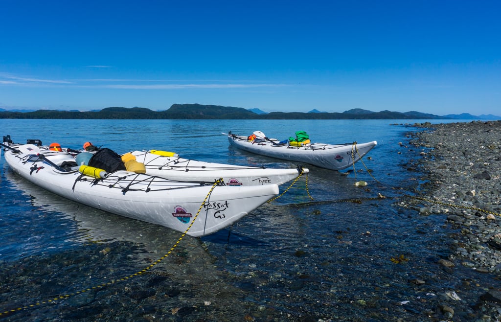Kayaking in the Johnstone Strait: Everything You Need to Know