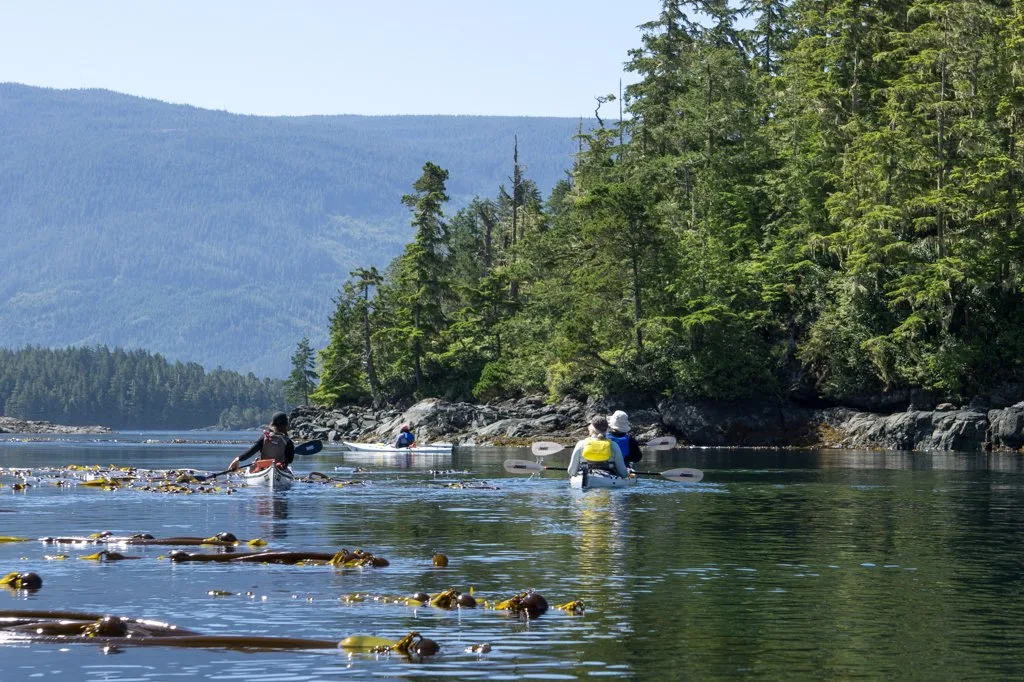 Kayaking through the Plumper Islands in the Johnstone Strait