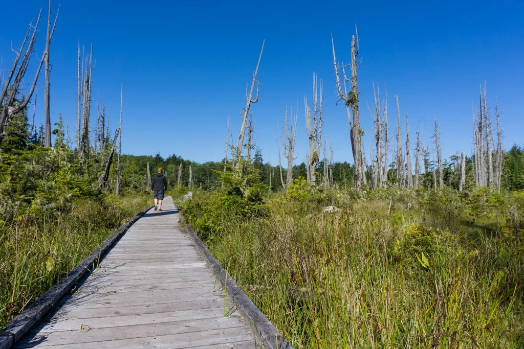 A hiker walks on a boardwalk in the Alert Bay Ecological Park on north Vancouver Island