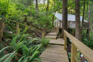 Golden Ears Glamping near Vancouver