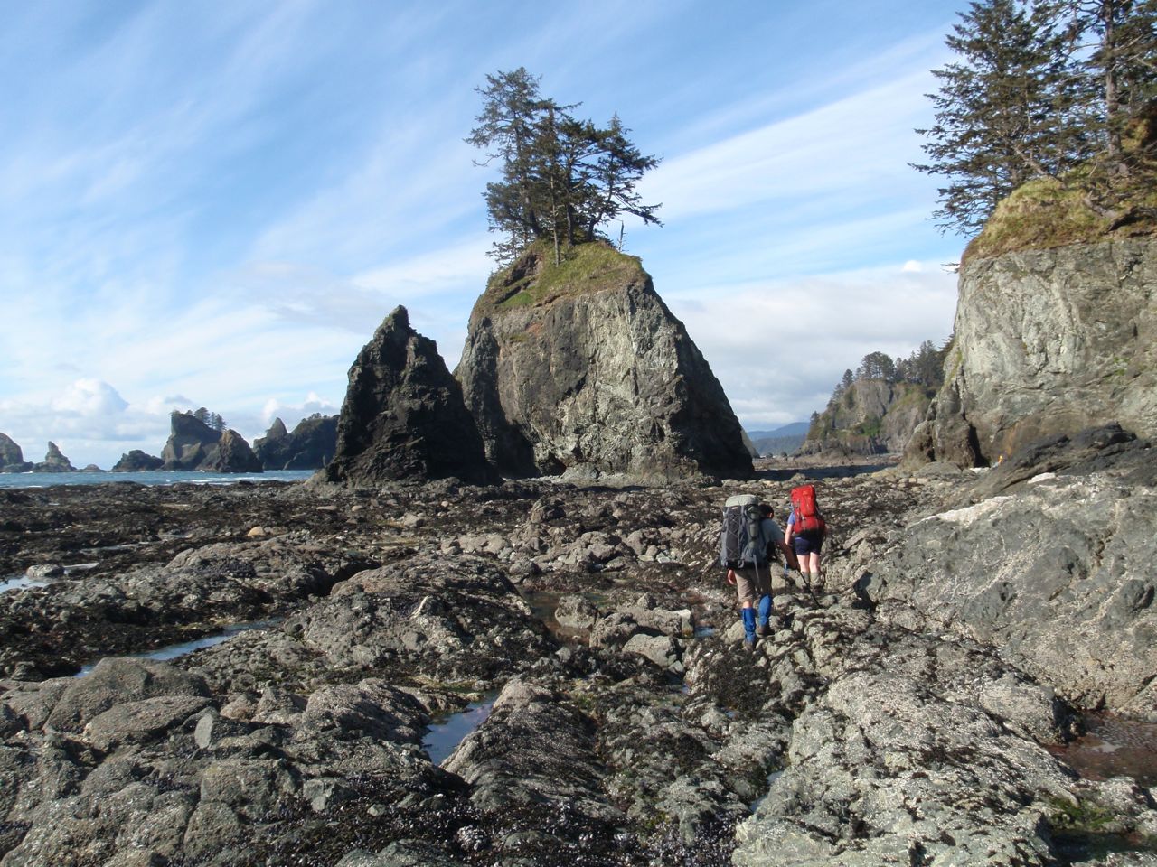 Hikers on the North Olympic Coast trail in Washington. Get the best coastal hiking tips before you try this trail