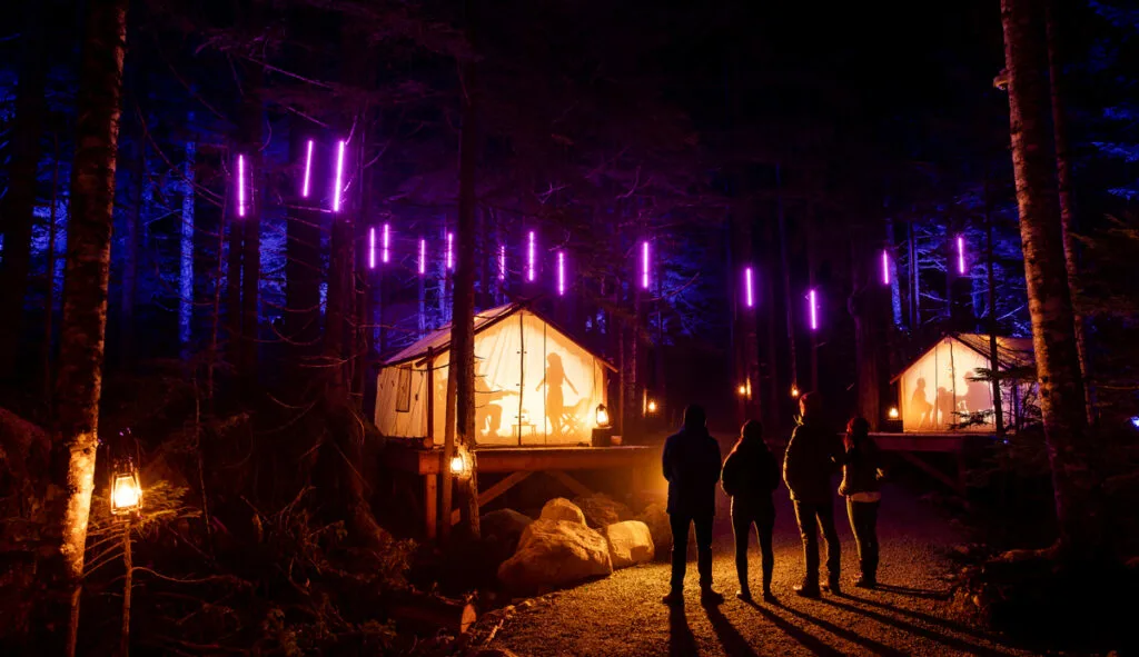 People walk past light displays in the forest at Vallea Lumina