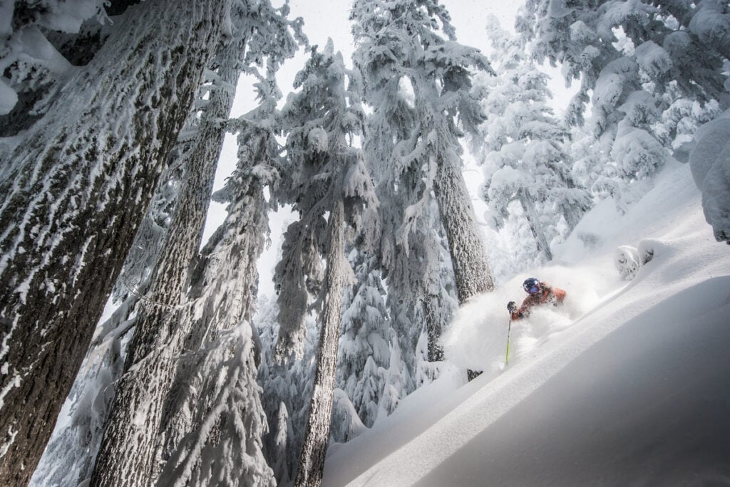 A skier skiing in between trees on a powder day at Whistler