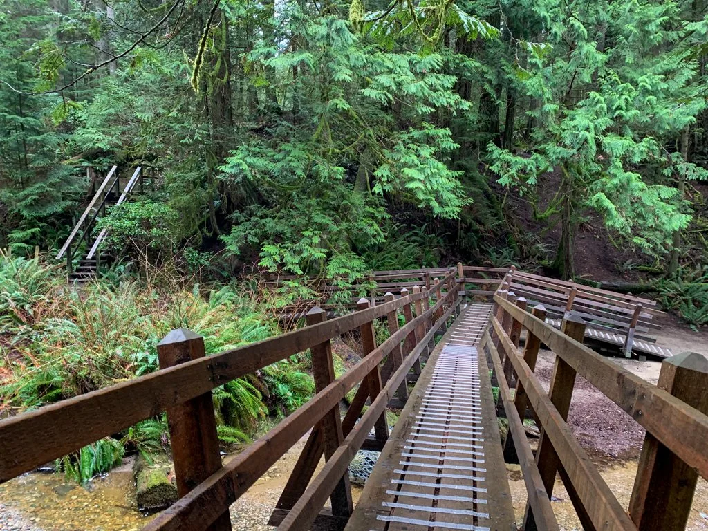 A long wooden bridge over a creek in Cliff Gilker Park on the Sunshine Coast, Canada