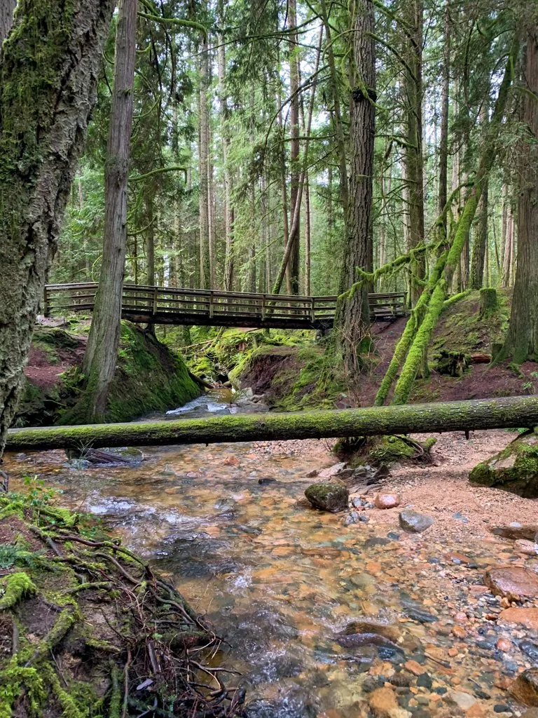 A bridge crosses a rocky gap across Clack Creek in Cliff Gilker Park on the Sunshine Coast, BC