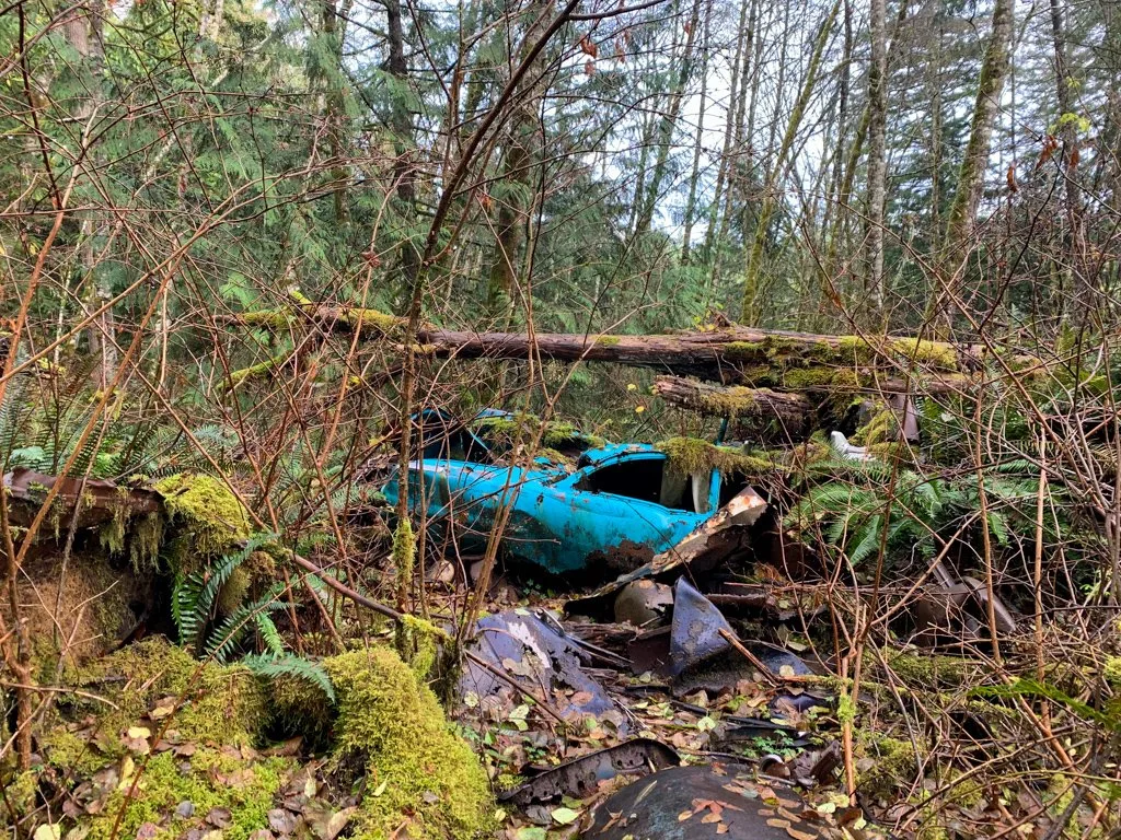 An abandoned car on the trail to Langdale Falls