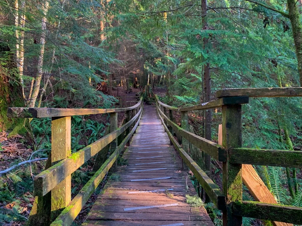 Wooden bridge through the forest near Gibsons, BC