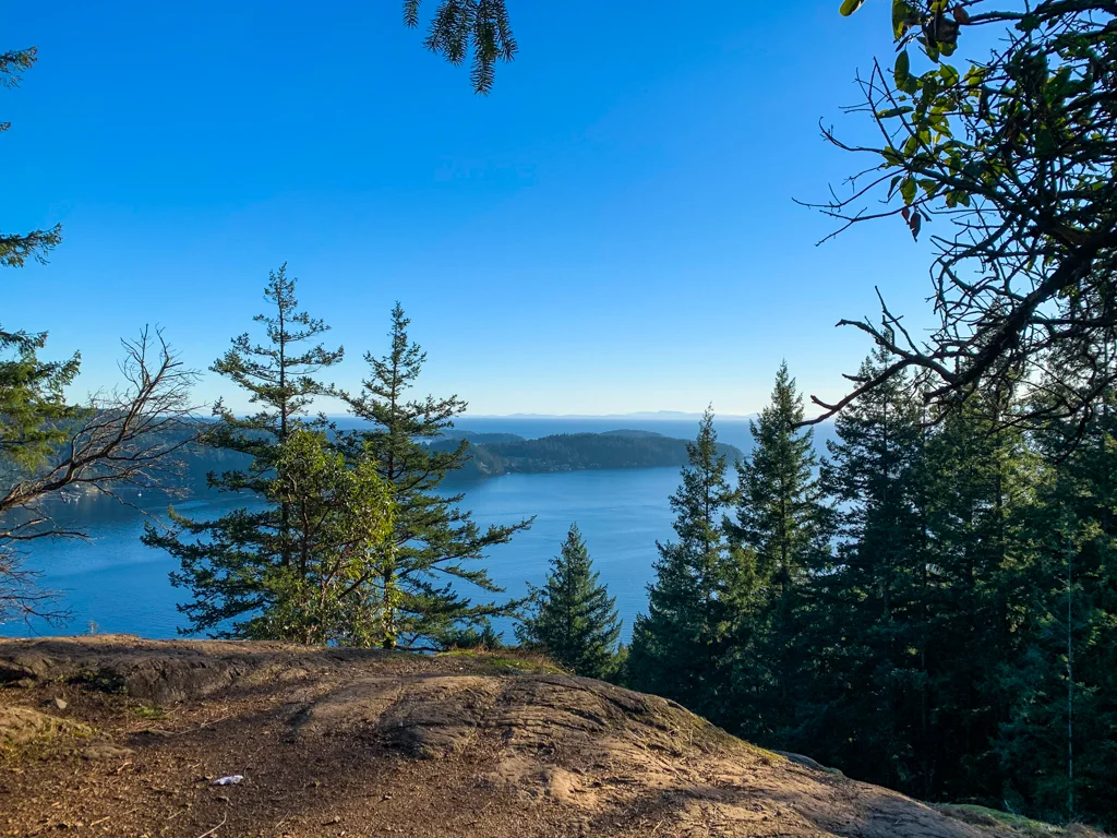 View of the ocean partially obscured by trees on the Soames Hill hike on the Sunshine Coast, BC