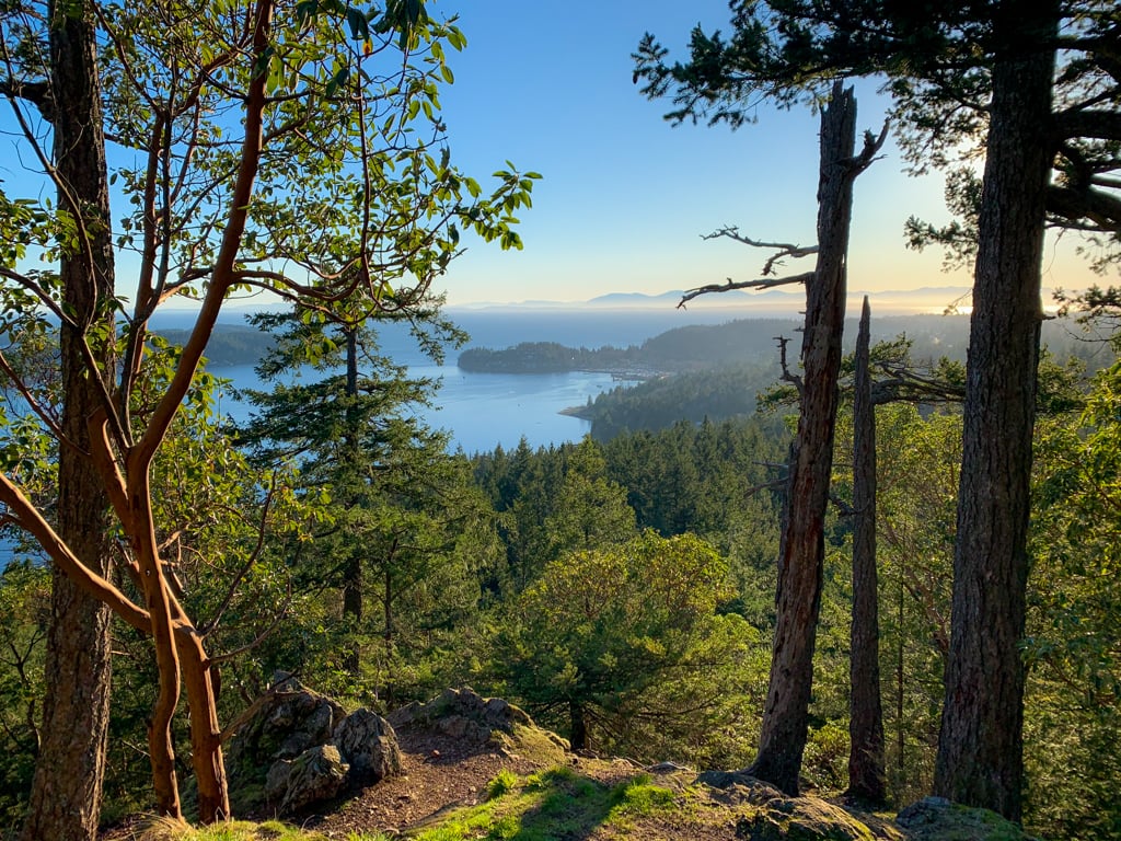 View of Lower Gibsons through the trees from the south summit of Soames Hill