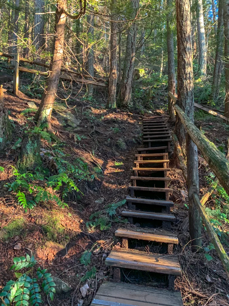 Stairs on a trail in Gibsons, BC