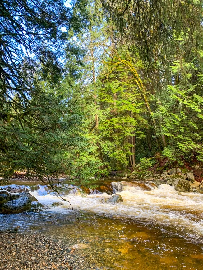 Chapman Creek in Sechelt, BC