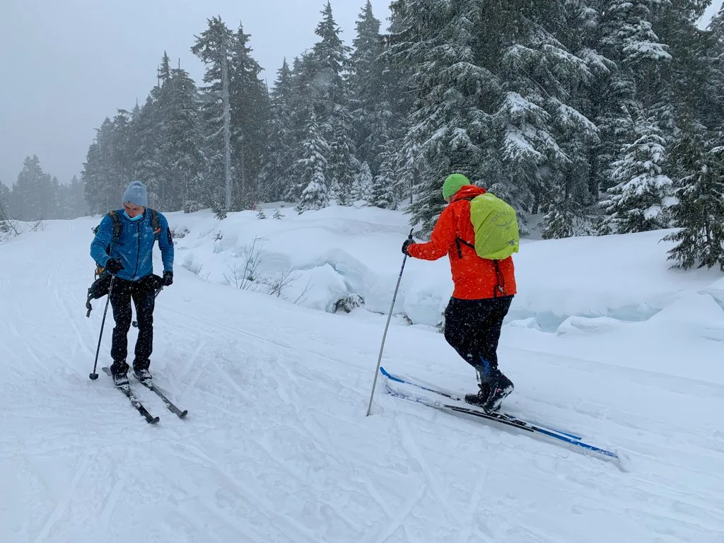 People cross country skiing at Dakota Ridge near Sechelt on BC's Sunshine Coast