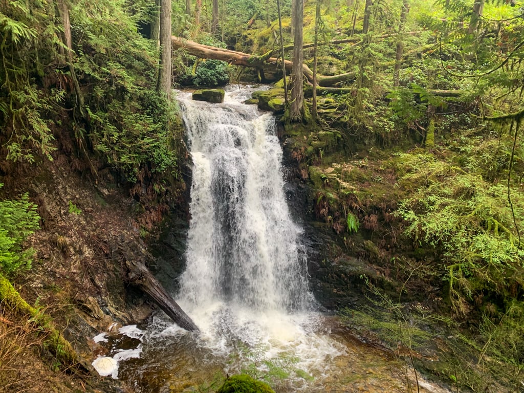 Roberts Creek Falls - one of the best hikes on the Sunshine Coast and a trail not many have heard of