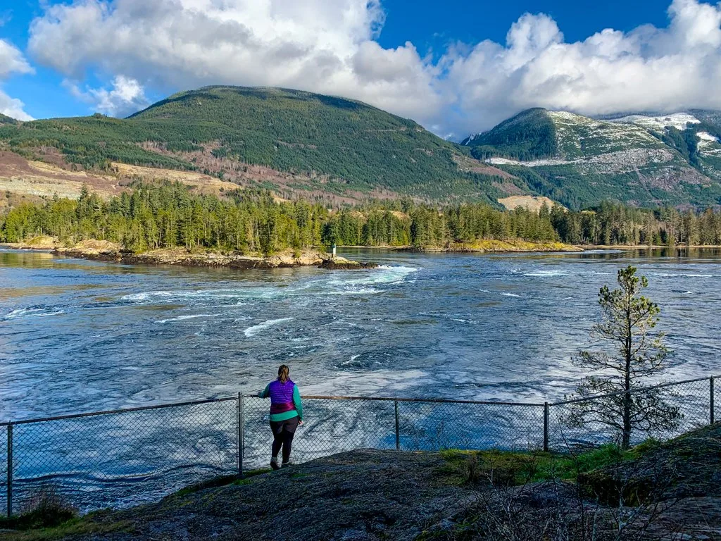 A woman standing at a fence looking at tidal rapids on the Sunshine Coast, BC