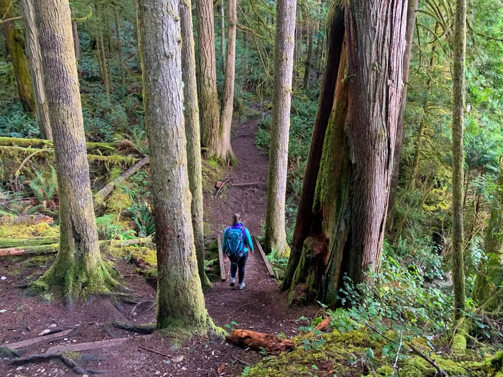 A woman walks along a forested trail in Egmont on the Sunshine Coast, BC