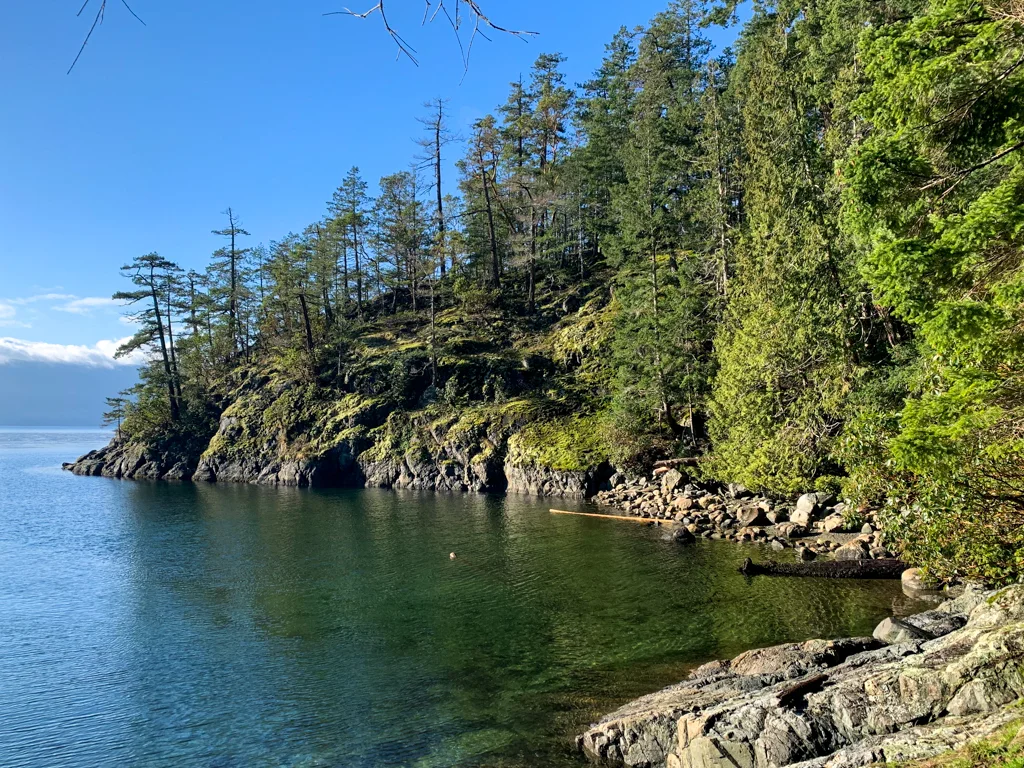 The shoreline in Francis Point Provincial Park