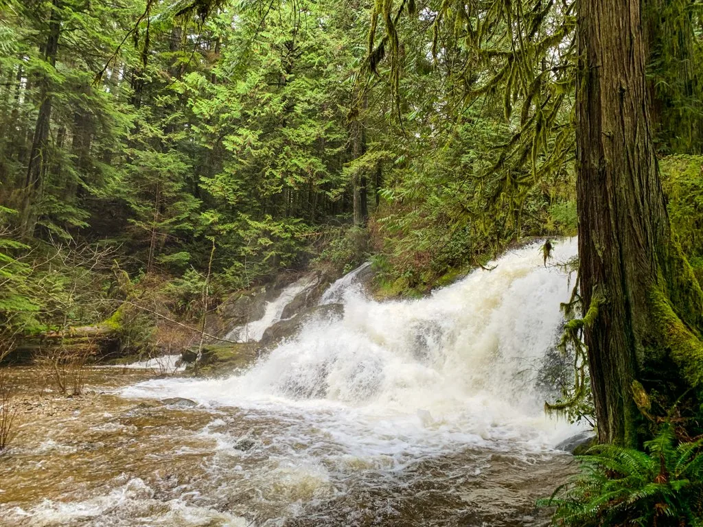Homesite Creek Falls near Halfmoon Bay - one of the best hikes on the Sunshine Coast, BC