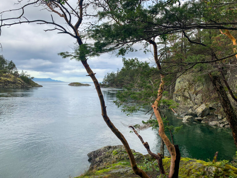 21 Best Hikes on the Sunshine Coast, BC