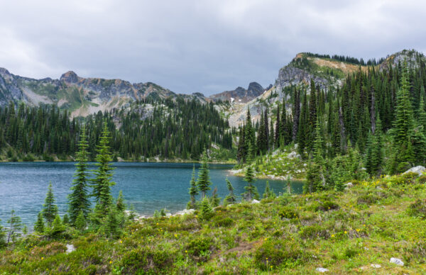 Things to do in Mount Revelstoke National Park, Canada