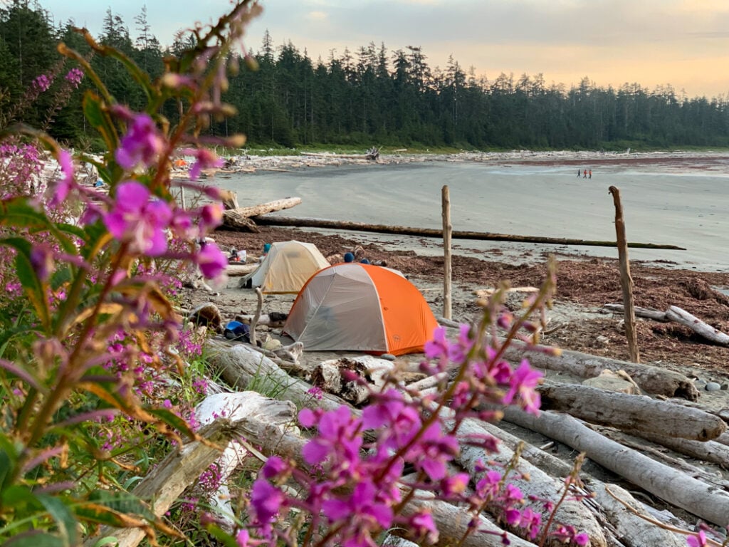 Tents on the beach on the North Coast Trail in Cape Scott Provincial Park. Find out how to making backpacking reservations in BC