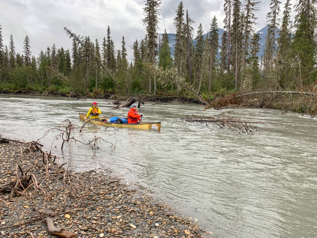 Paddling past a sweeper on the Cariboo River