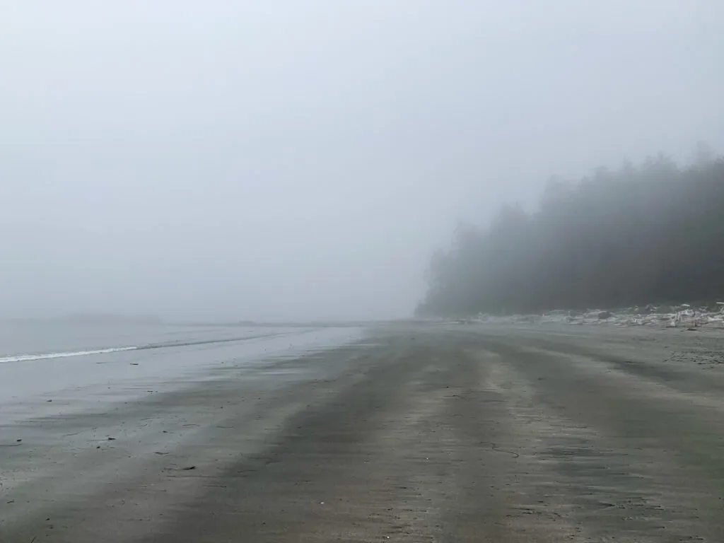 Fog at Shuttleworth Bight on the NorthCoast Trail