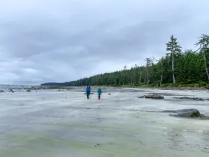 Hikers on Laura Creek Beach