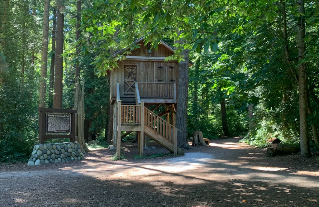 A treehouse in Redwood Park in Surrey - a snow-free hike near Vancouver