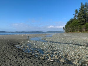 Beach at Skinner Creek on the North Coast Trail