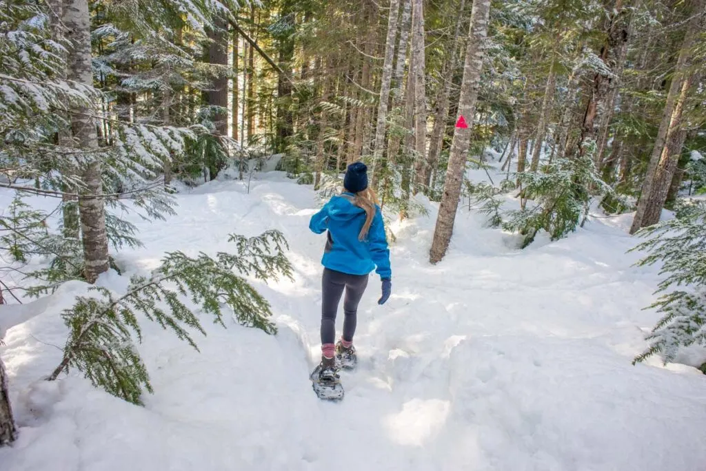 A woman snowshoeing through the forest near Canmore