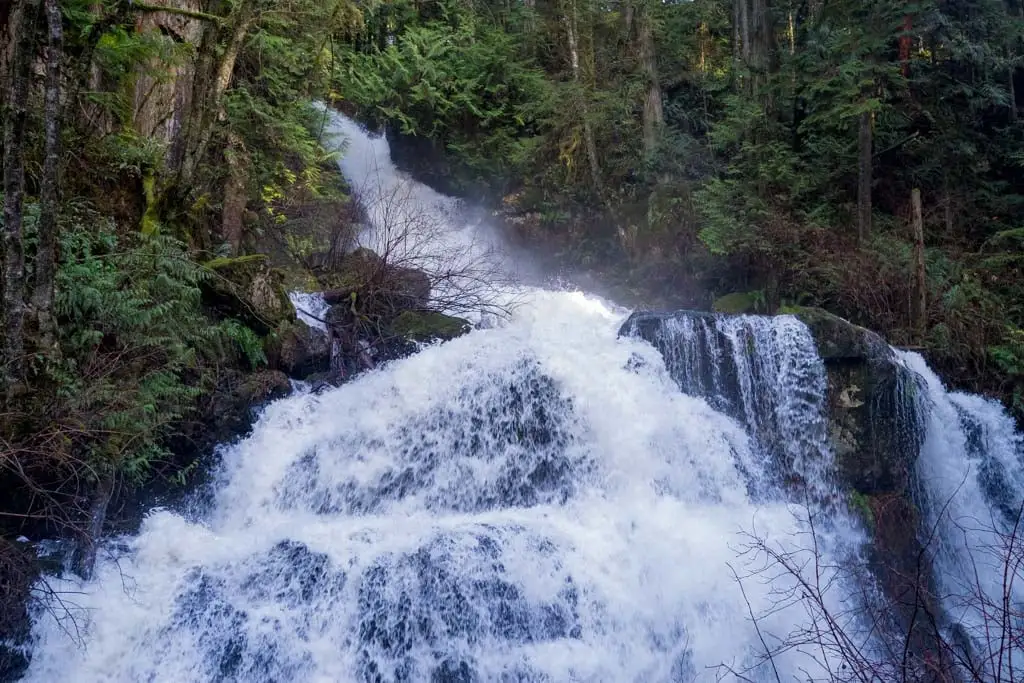 Steelhead Falls in Mission