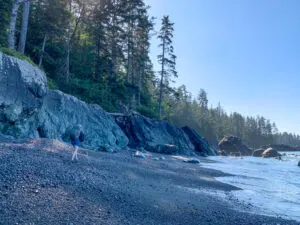 Tripod beach tidal obstacle on the North Coast Trail