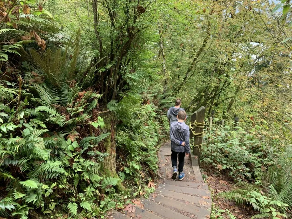 Hikers on the stairs on the Velodrome Trail on Burnaby Mountain. This trail is snow-free all year