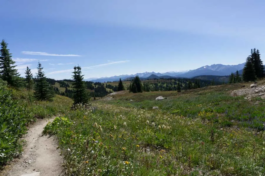 The Heather Trail in Manning Provincial Park