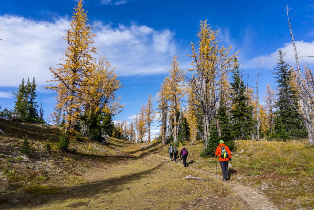 Hiking the Frosty Mountain larches -fall backpacking tips
