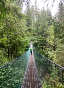 Loss Creek Suspension Bridge
