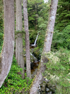 A waterfall near the Minute Creek suspension bridge on the Juan de Fuca Trail