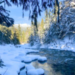 Snow next to the river on the Cheakamus River snowshoe trail in Whistler