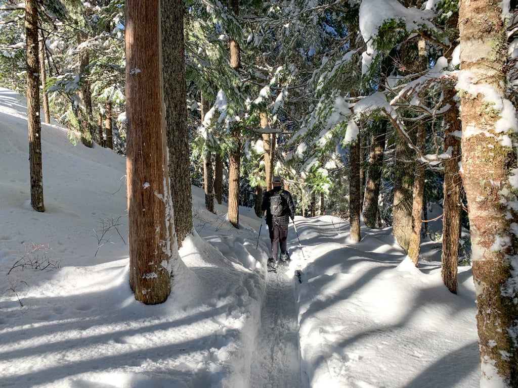 Snowshoeing in the Whistler Interpretive Forest