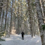 Snowshoeing along the Cheakamus River in Whistler. Where to go snowshoeing in Whistler