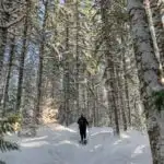 Snowshoeing along the Cheakamus River in Whistler. Where to go snowshoeing in Whistler