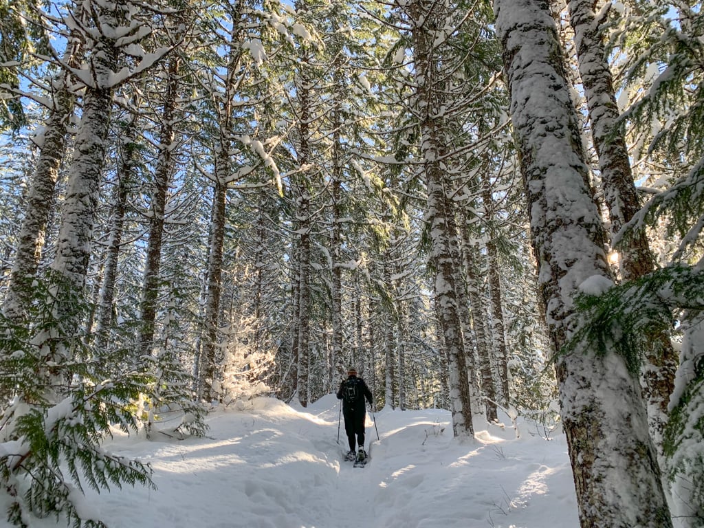 Where to Go Snowshoeing in Whistler
