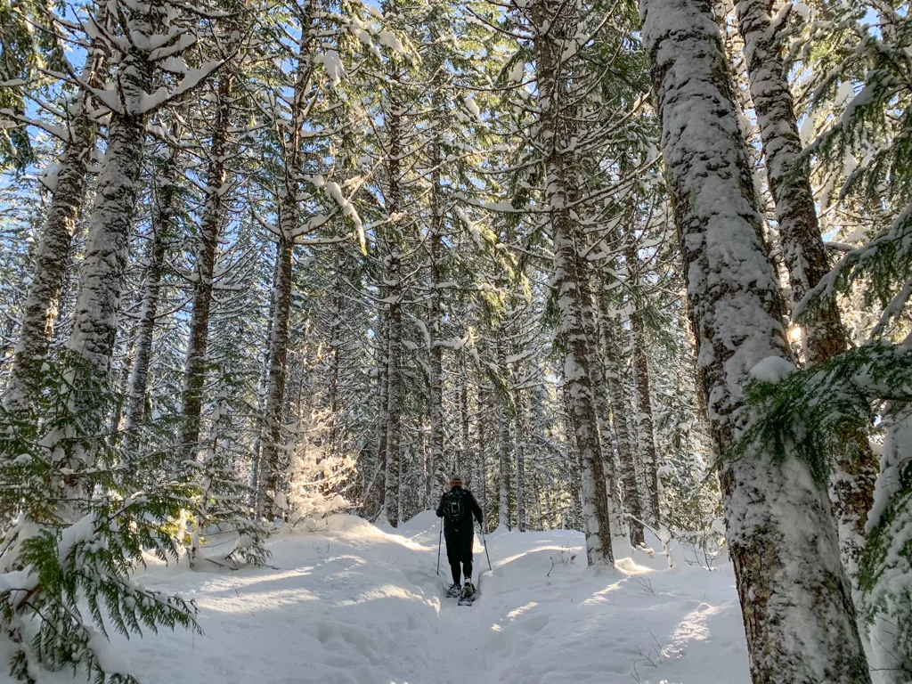 Snowshoeing along the Cheakamus River in Whistler. Where to go snowshoeing in Whistler