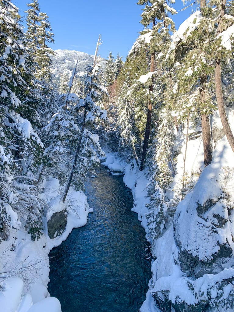 View of the Cheakamus River from the suspension bridge