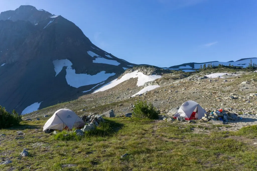 Two MSR Hubba Hubba backpacking tents in an alpine meadow - best backpacking tent for beginners