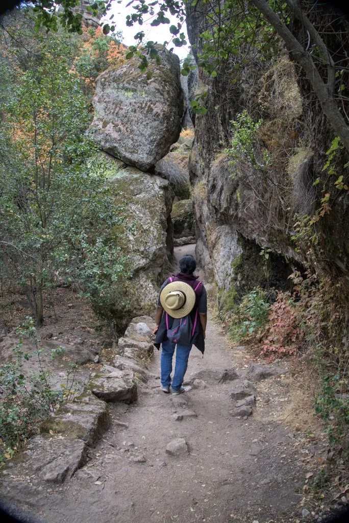 Trail to Bear Gulch Cave in Pinnacles National Park