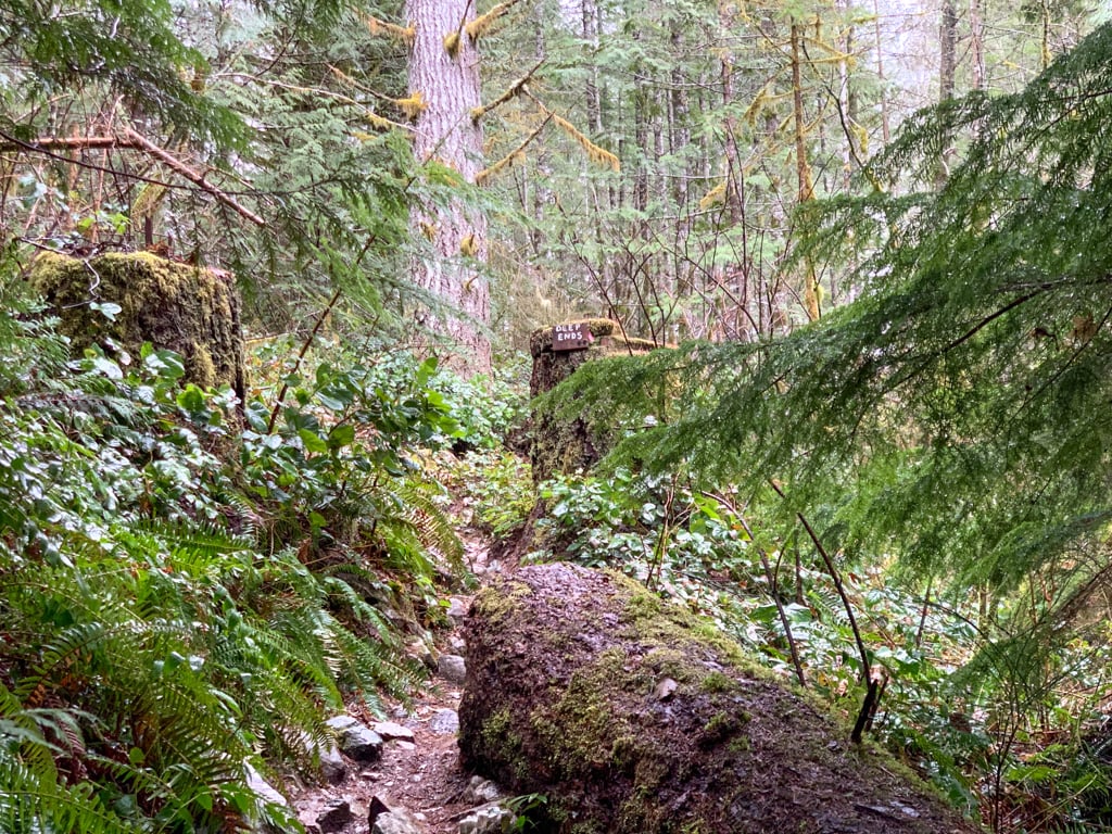 Deep Ends Trail to Mount Crumpit