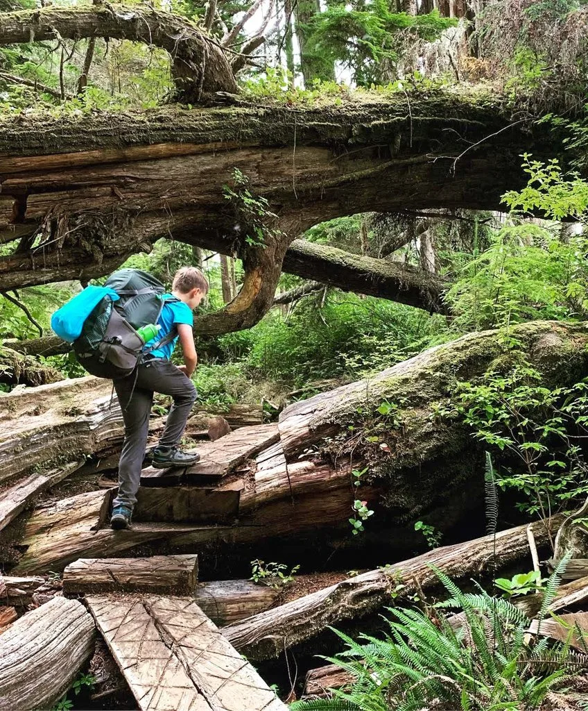 A boy wearing a backpack hikes over logs in the forest on the West Coast Trail