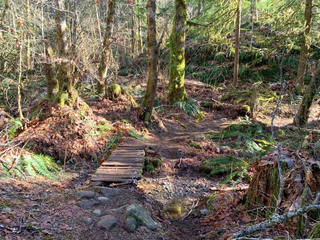 Boardwalk bridge on the Fartherside Trail